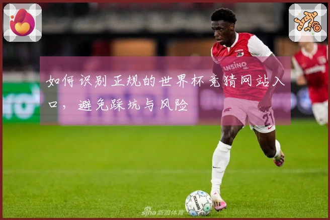 如何识别正规的世界杯竞猜网站入口,避免踩坑与风险